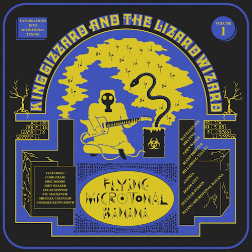 KING GIZZARD AND THE LIZA - FLYING MICROTONAL BANANAKING GIZZARD FLYING MICROTONAL BANANA.jpg
